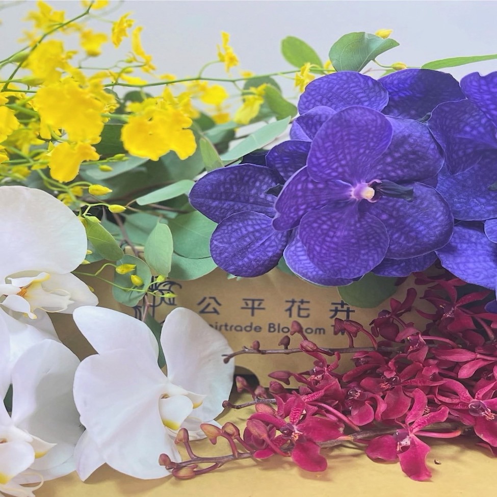 【公平花卉-宅配】蘭花花材箱(蘭花4束、葉材1束/箱x1)