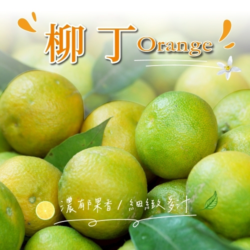 114/11/08起陸續出貨【冷藏店取-福和】(免)台灣柳丁(800g/袋)