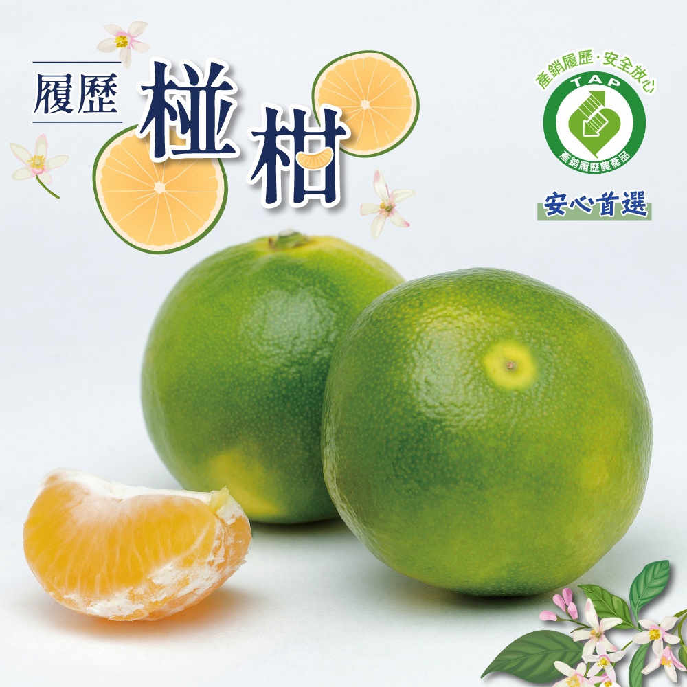 【冷藏店取-福和】(免)台南履歷青皮椪柑(3kg/箱)