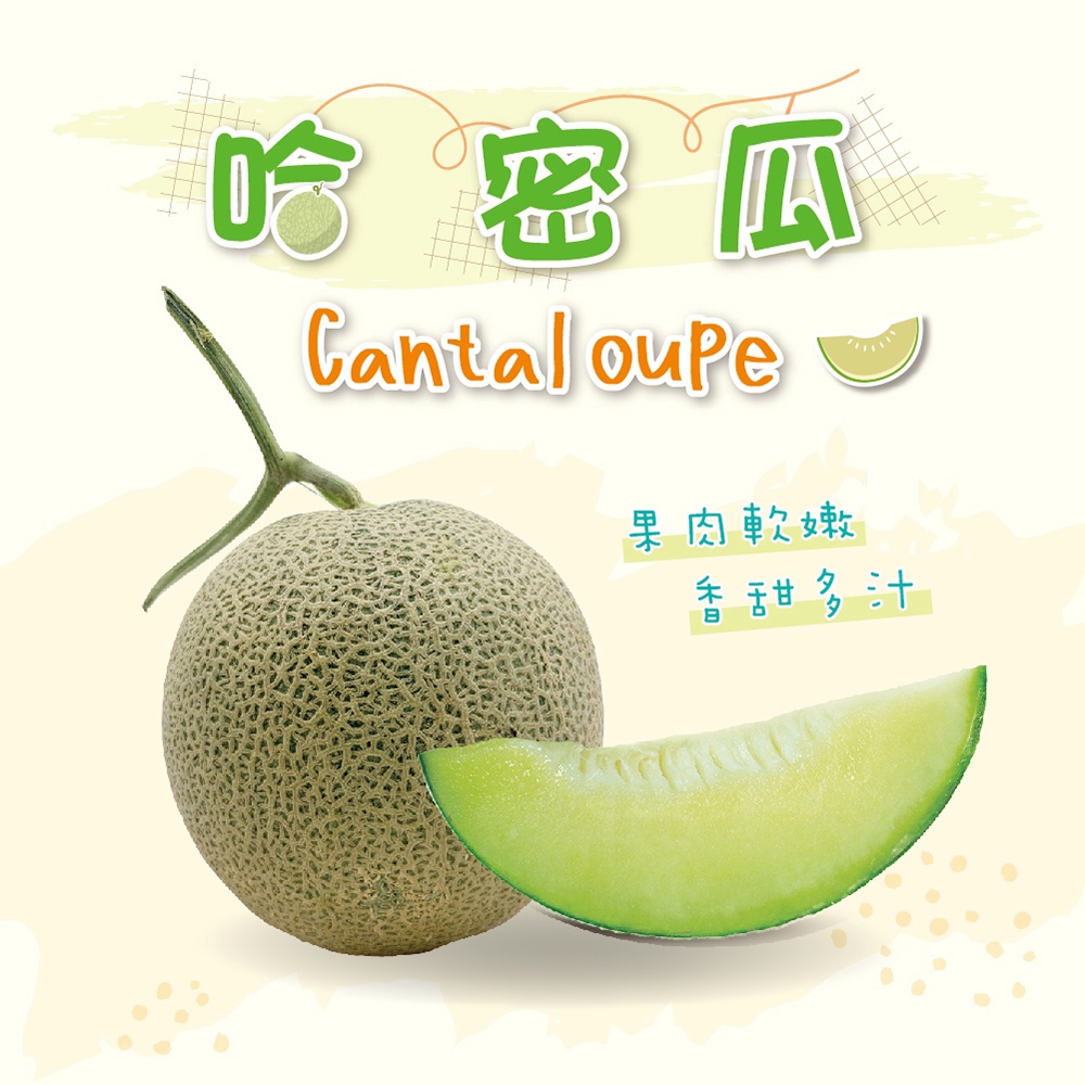 【冷藏店取-福和】(免)網狀哈密瓜(1800g/袋)