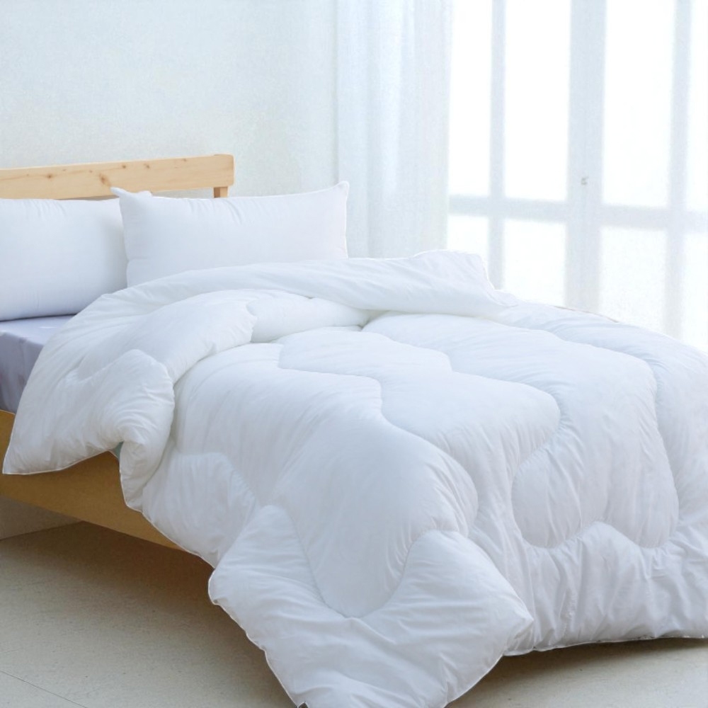 【ELVIS愛菲斯】輕柔抗菌羽絲絨雙人冬被(1件x1)