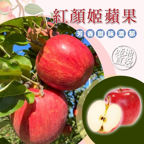 【冷藏店取-福和】(免)日本紅顏姬蘋果2入(450g/盒)
