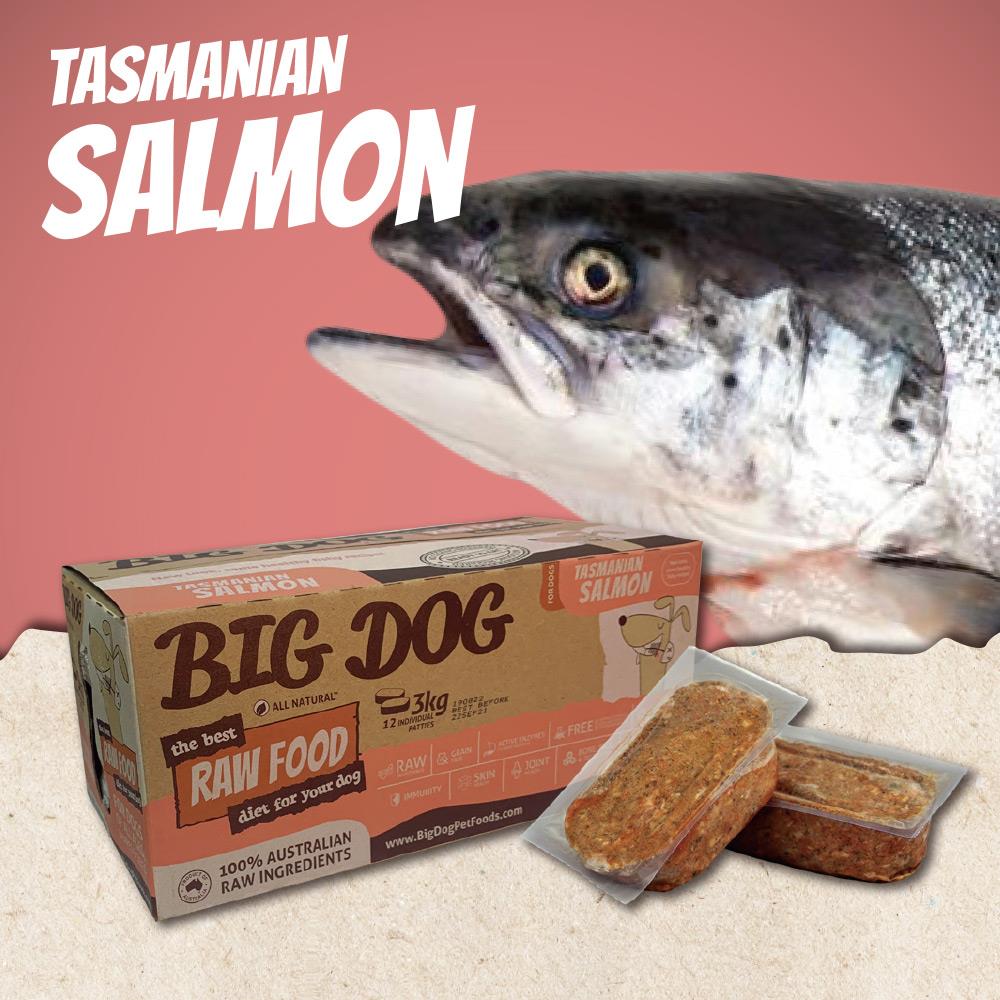 澳洲BIG DOG犬用生食肉餅｜鮭魚