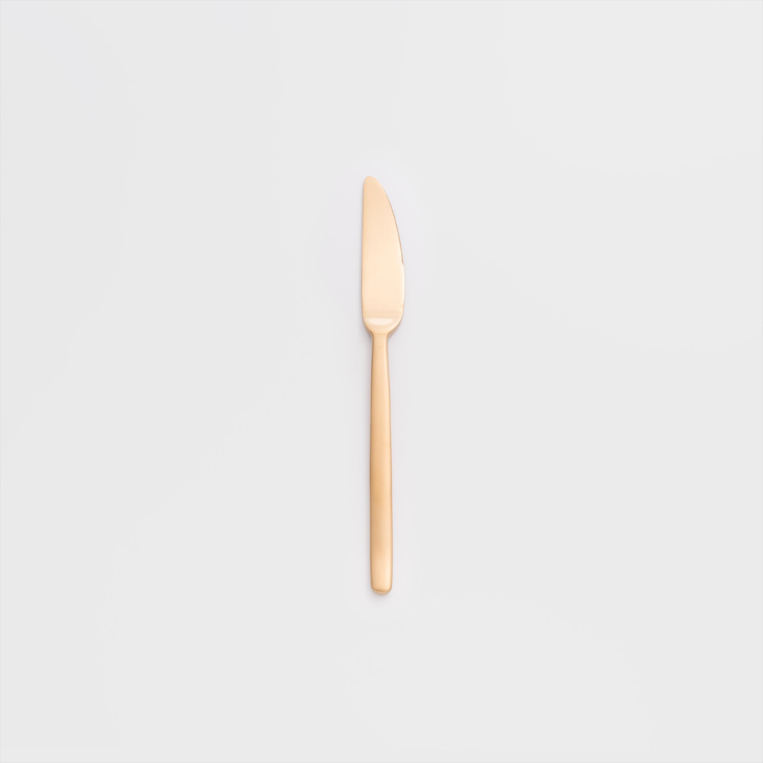 歐式 簡約潮流 22.8cm 不銹鋼主餐刀│霧金│單品