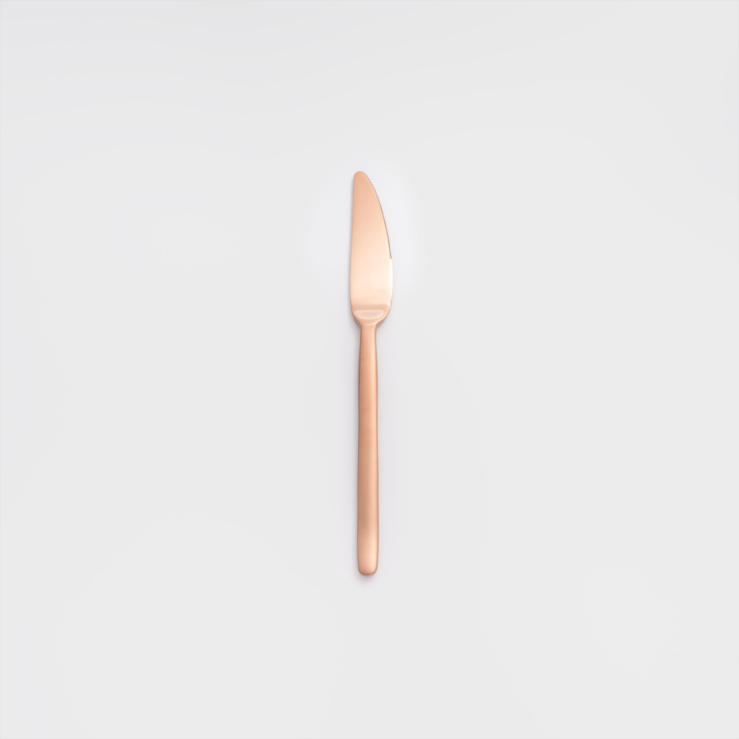 歐式 簡約潮流 22.8cm 不銹鋼主餐刀│玫瑰金│單品