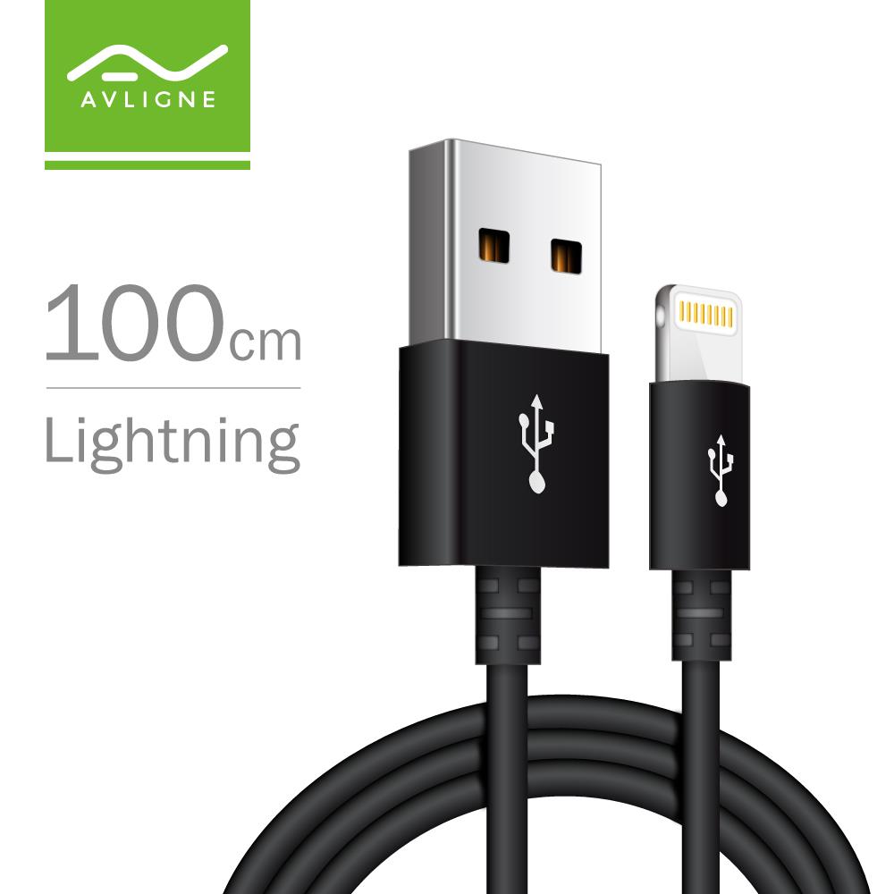 APPLE 蘋果 Lightning 8pin 原廠授權 充電傳輸線 MFI認證 iOS