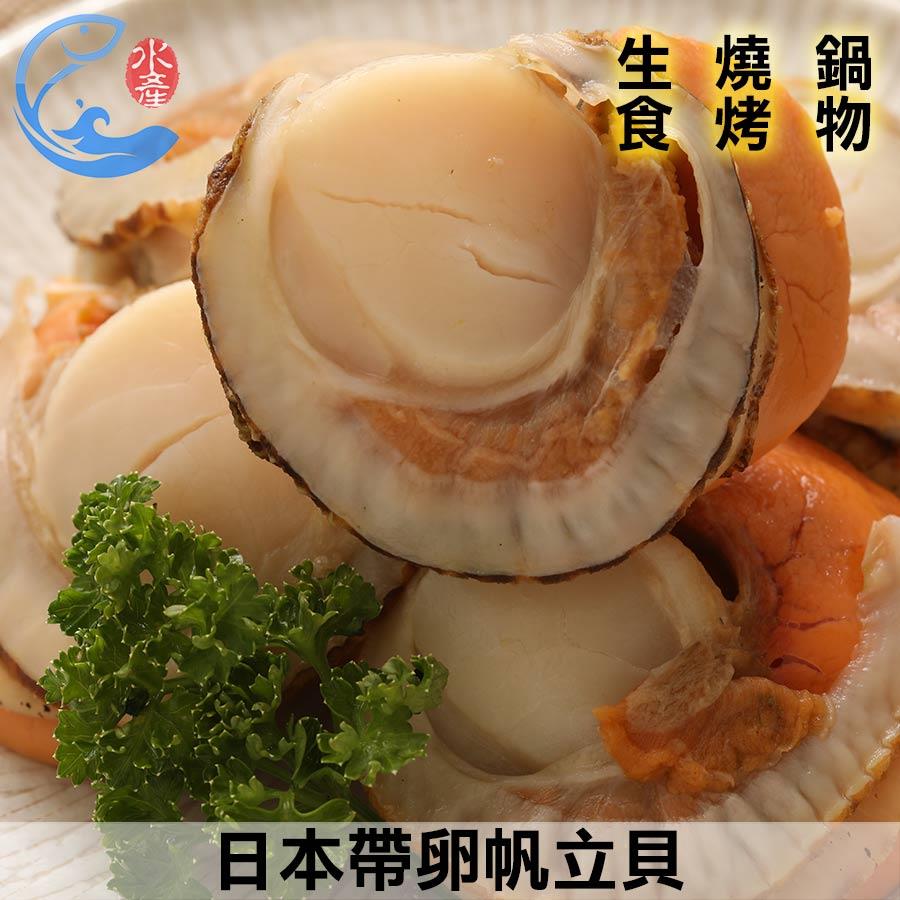 日本帶卵帆立貝 250g±10%/包(約5-6粒/包)
