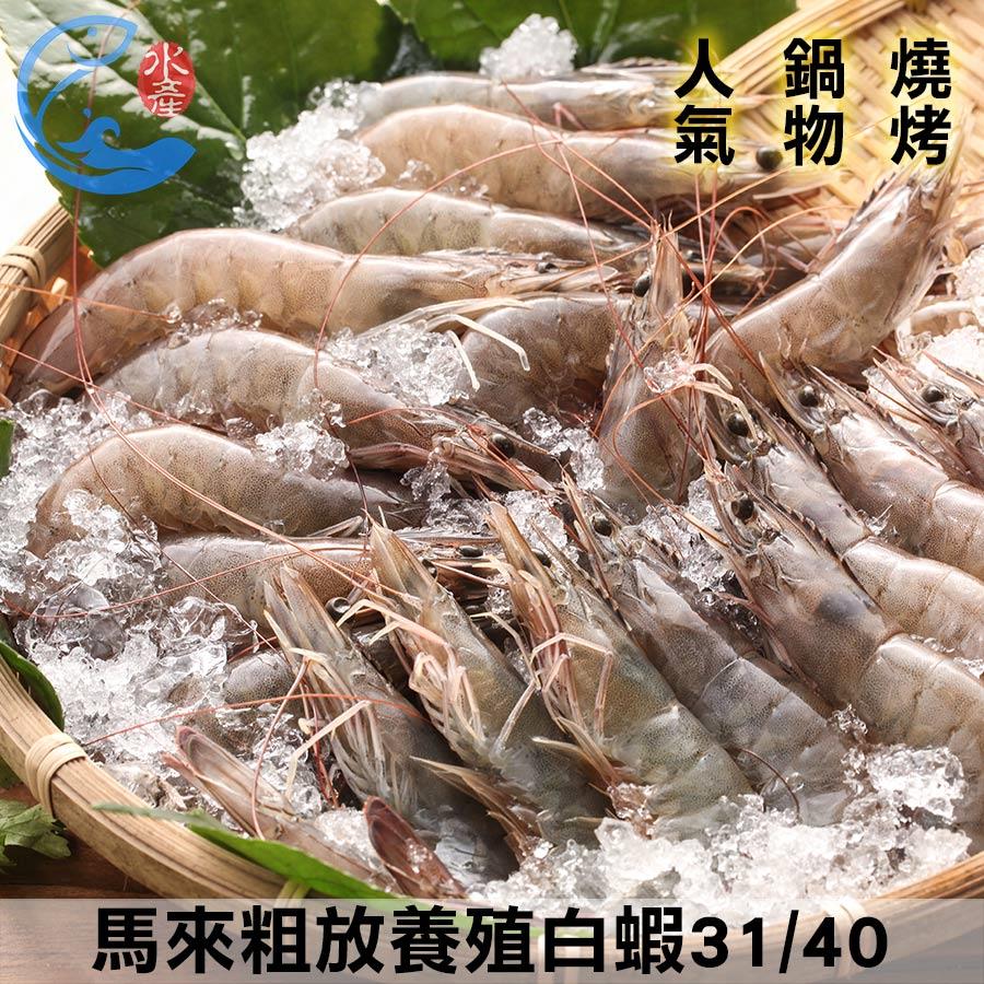 馬來粗放養殖白蝦31/40(特大)_600g±10%/盒(約22-26尾)