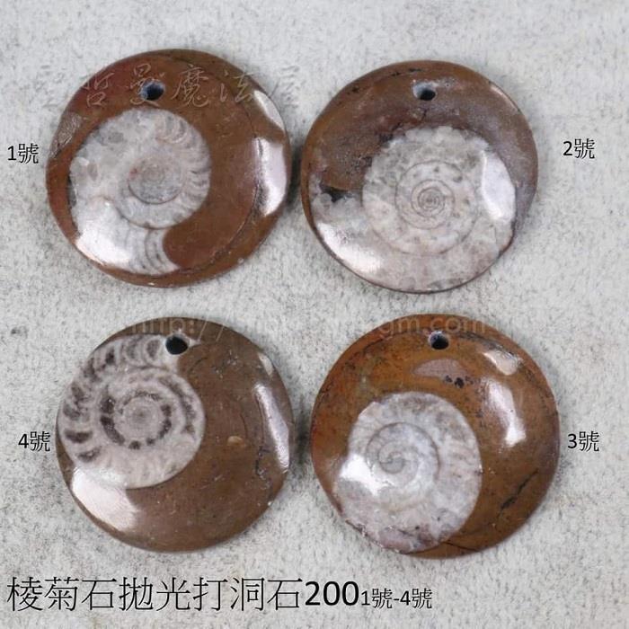 棱菊石拋光打洞裸石~吸收負能量的海底輪紮根療癒石