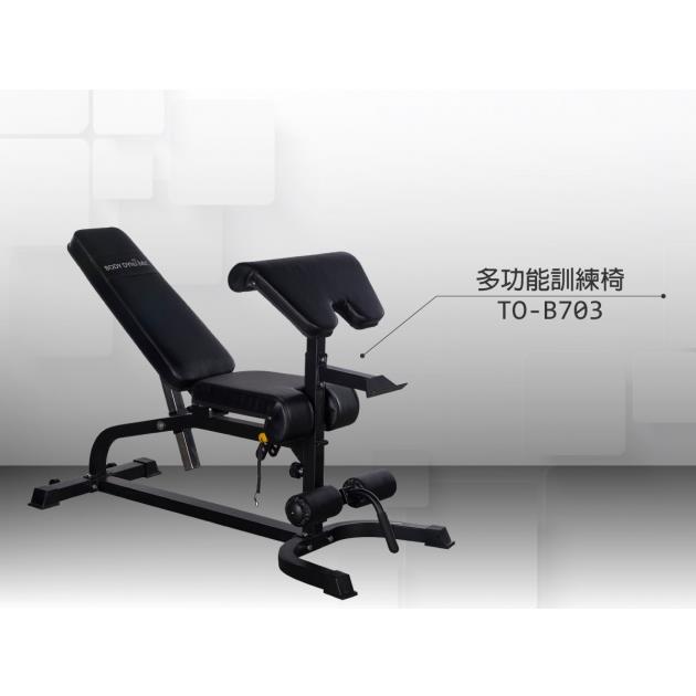 Bodydynamic  綜合訓練椅/重訓椅/啞鈴椅(TO-B703)-不含安裝