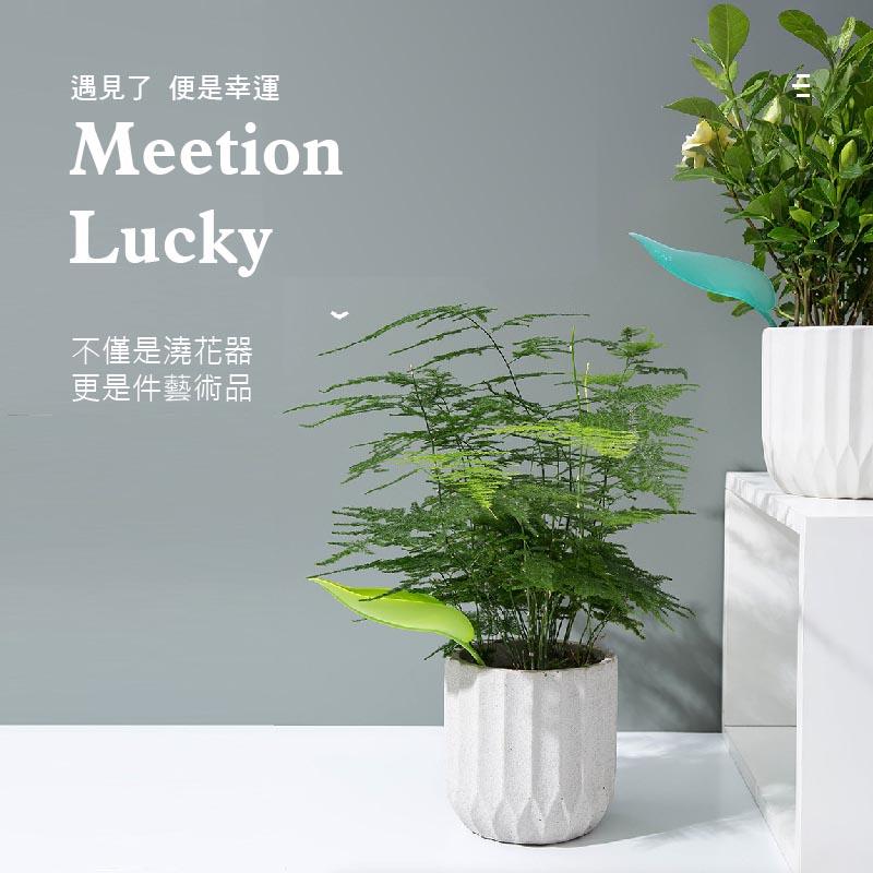 【空間特工】樹葉造型盆栽澆水器創意樹葉造型澆花漏斗 /盆栽加長導流水管