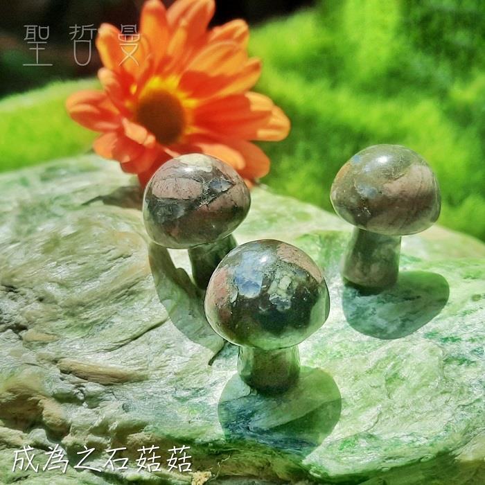 超迷你蘑菇寶寶 菇菇 雕件/擺件 ~成為之石/黃虎眼/龍之石