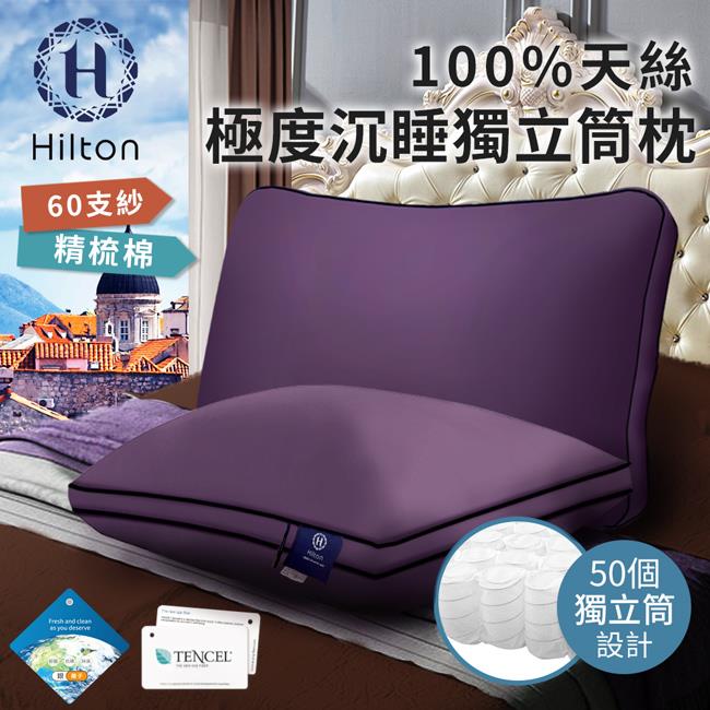 【Ｈｉｌｔｏｎ希爾頓】１００％天絲６０支紗，極度沉睡獨立筒枕(B0117 L)