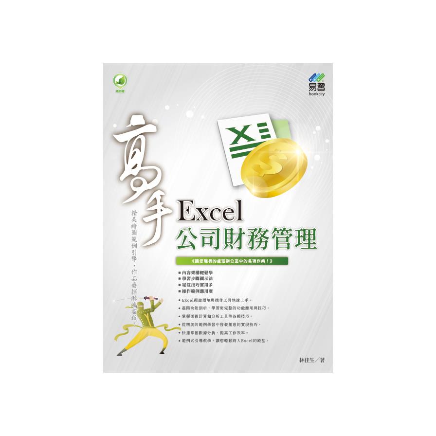 Excel公司財務管理高手(2版)