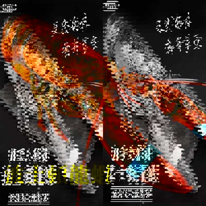 【冷凍店取—廚鮮王】加拿大波士頓龍蝦450g±10%/隻