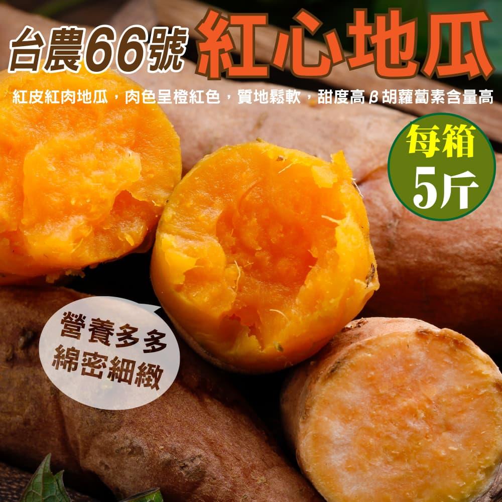 【小農直配】宅配－５斤台農６６號紅心地瓜(５斤±１０％／箱（含箱重）)