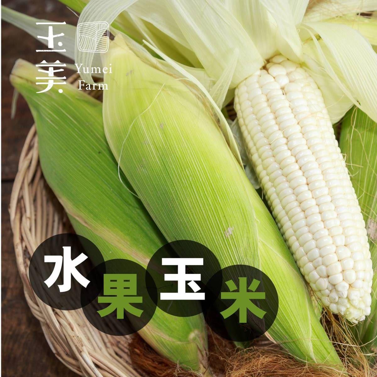 【冷藏店取—玉美】玉美—產銷履歷水果玉米(５ＫＧ／箱)