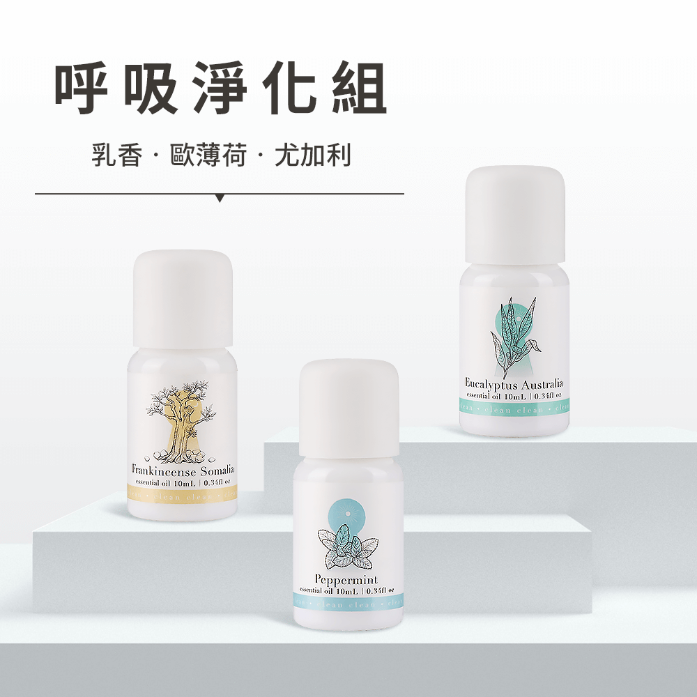 淨心 呼吸淨化3入組(乳香、薄荷、尤加利）