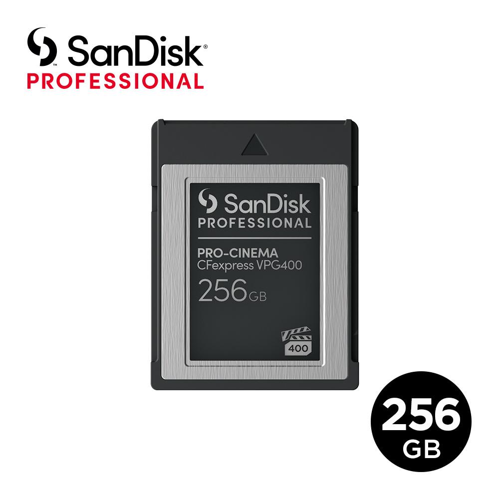Best Buy: SanDisk Memory Stick PRO Duo (4GB) for PSP SDMSG-4096