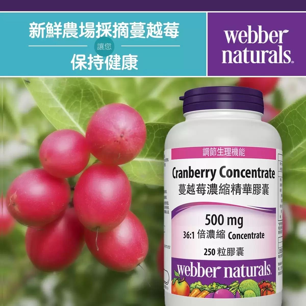 【美式賣場】蔓越莓濃縮精華膠囊(５００Ｇ)