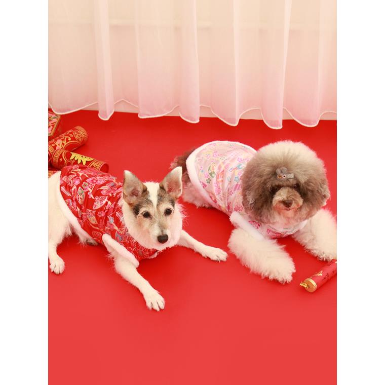 喜氣洋洋新年旗袍絨毛邊保暖寵物衣服