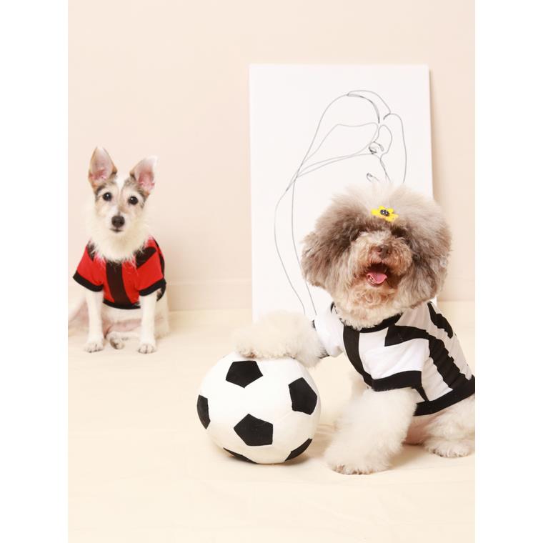 世足系列．足球運動風隊寵物球衣
