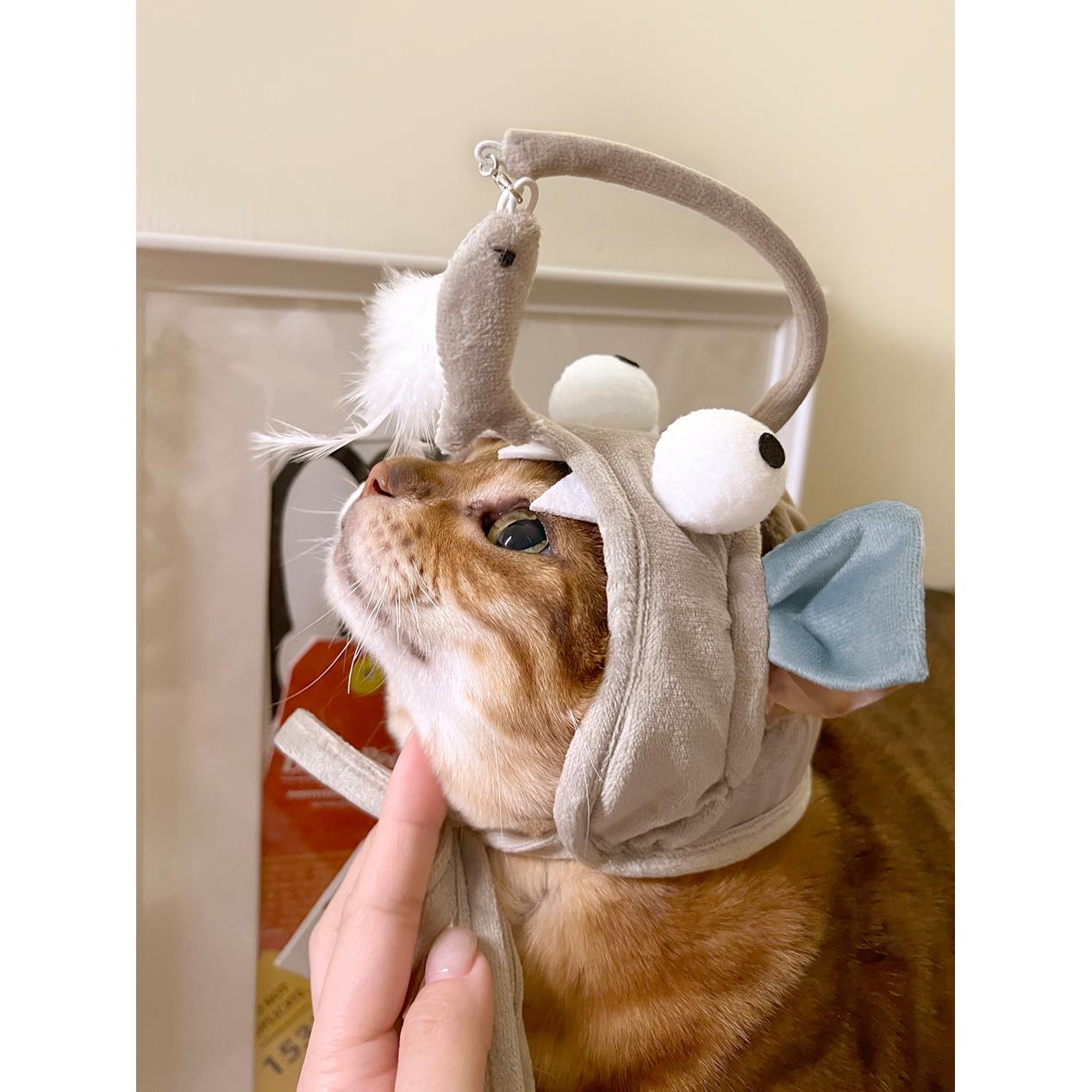 寵物搞怪造型逗貓棒帽子