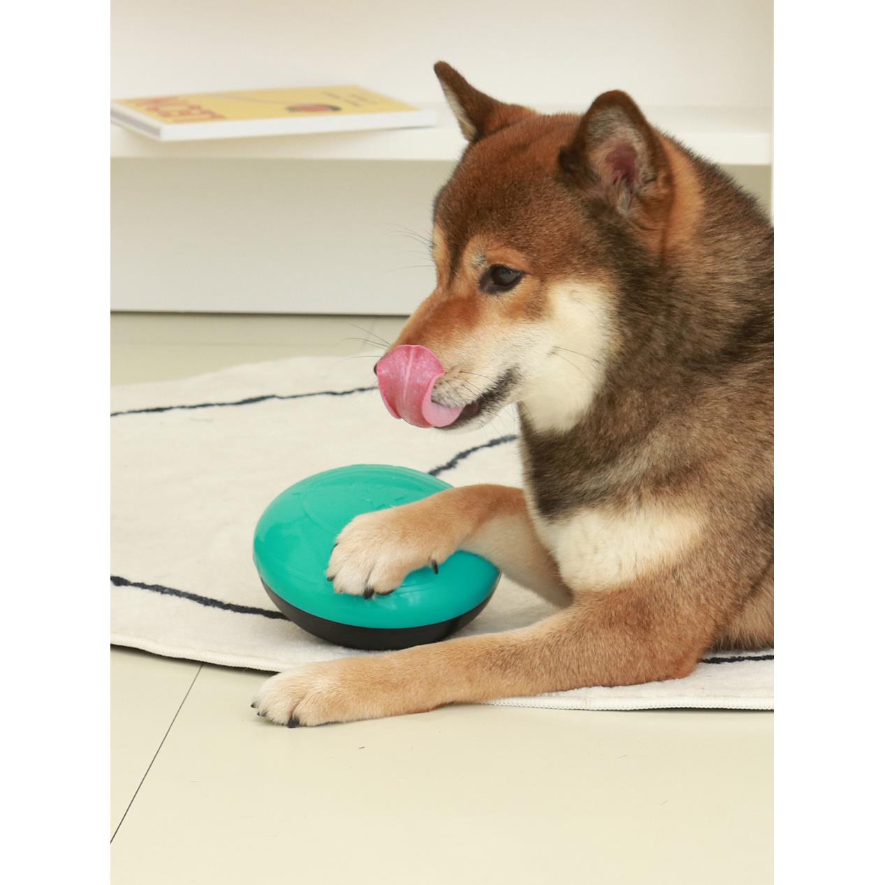 寵物飛盤造型發聲漏食玩具