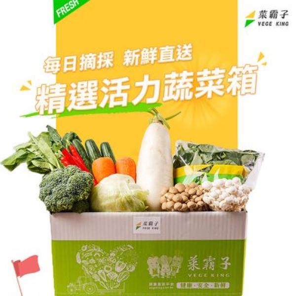 【菜霸子】活力蔬菜箱（共10種蔬菜品項）_廠商直送