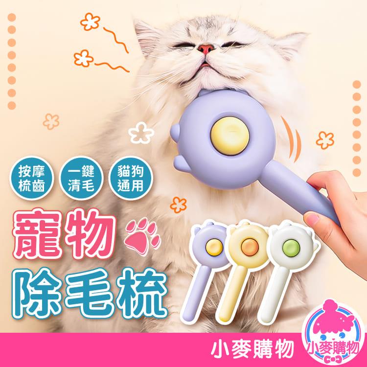寵物除毛梳【D102】