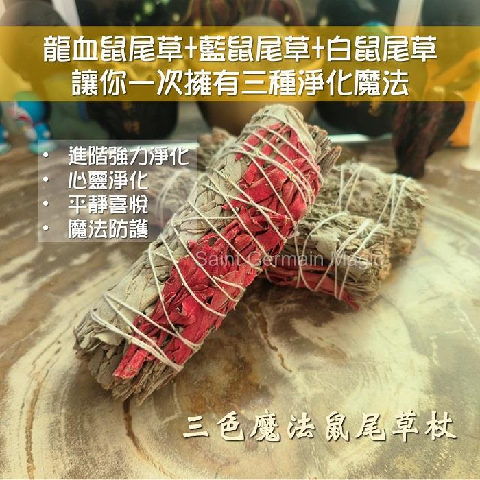 三色魔法鼠尾草杖~包含龍血鼠尾草/白鼠尾草/藍鼠尾草三種鼠尾草 ~進階強力淨化、心靈淨化、平靜喜悅、魔法防護