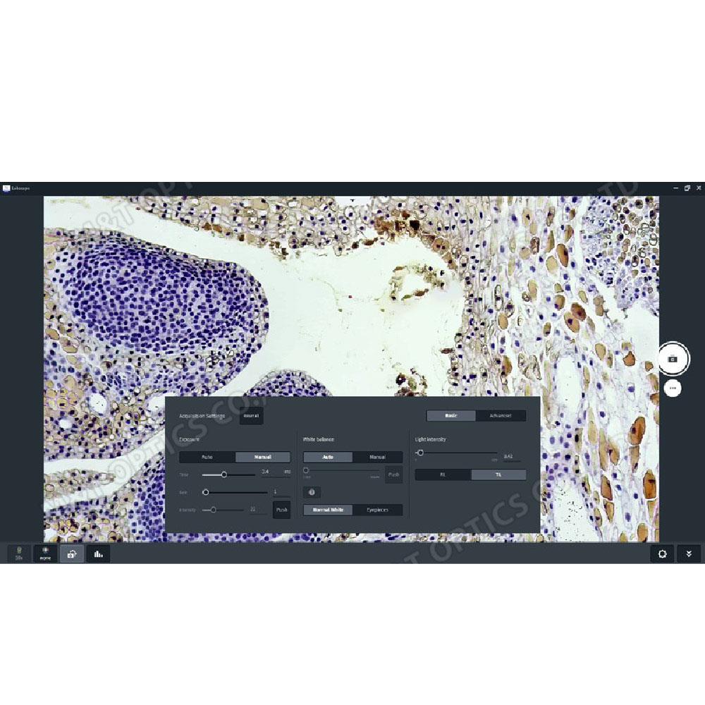 ZEISS 蔡司 SLABSCOPE 顯微鏡影像工作軟體(用於快速提升實驗效率)(台灣總代理公司貨)