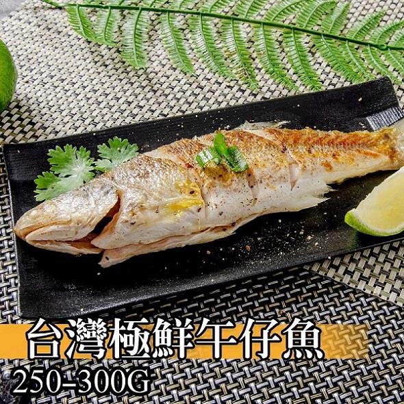 【冷凍店取-鮮綠生活】午仔魚(250-300g/包)