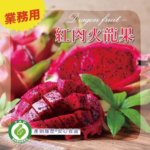 【冷藏店取-福和】(免)履歷紅龍果3kg(3kgx1)