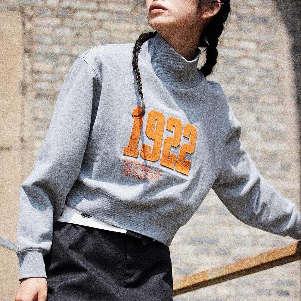 Dickies女款羽灰色胸前立體圖案羅紋高領短版長袖上衣|DK0A87L9CQ8