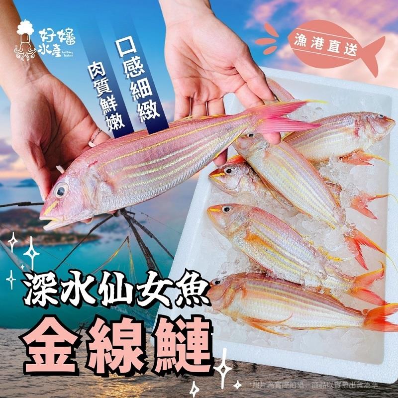 【冷凍店取-好嬸水產】三去仙女金線魚(2尾入)(280G (包冰率30%)/包)