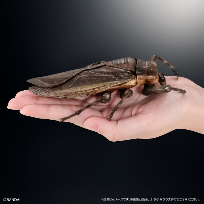 (預購)BANDAI 扭蛋 生物大圖鑑 水生昆蟲桂花負蝽 附展示支架 全3種 一中盒3入販售_2