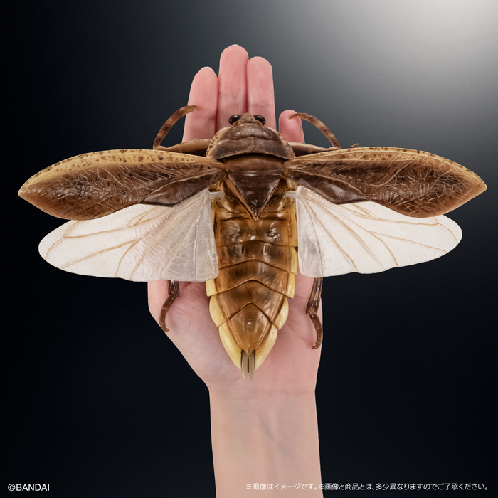 (預購)BANDAI 扭蛋 生物大圖鑑 水生昆蟲桂花負蝽 附展示支架 全3種 一中盒3入販售_3