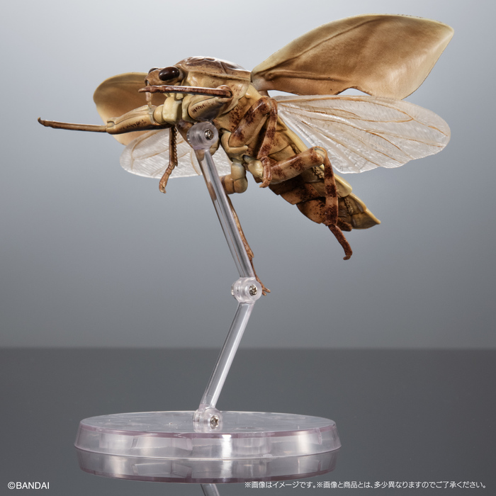 (預購)BANDAI 扭蛋 生物大圖鑑 水生昆蟲桂花負蝽 附展示支架 全3種 一中盒3入販售_5