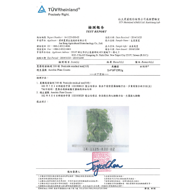 《JB》碗裝荷蘭生菜沙拉組(精緻型3入)_1