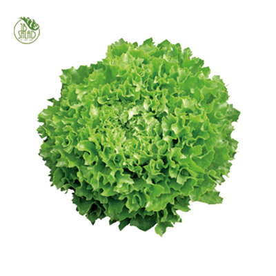 《JB》碗裝荷蘭生菜沙拉組(精緻型3入)_2
