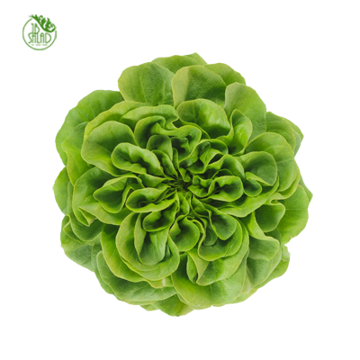 《JB》碗裝荷蘭生菜沙拉組(精緻型3入)_3