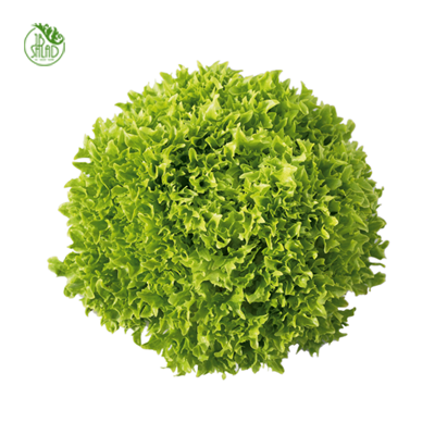 《JB》碗裝荷蘭生菜沙拉組(精緻型3入)_4