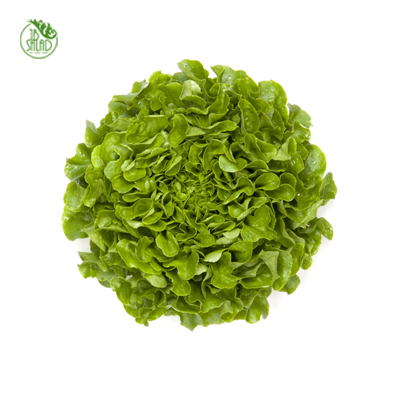 《JB》碗裝荷蘭生菜沙拉組(精緻型3入)_5