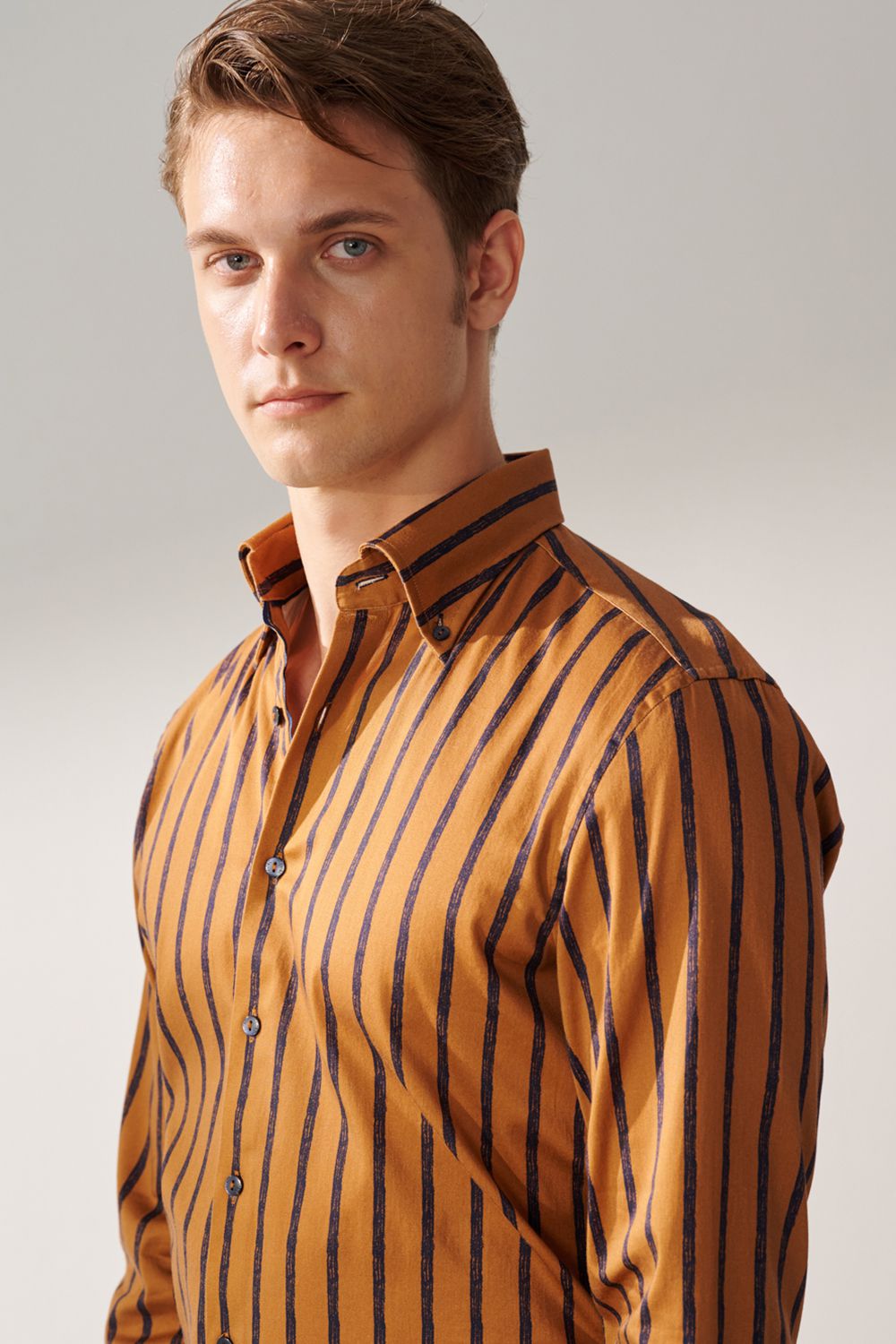 SST&C Brown Base Navy Striped Pattern Standard Shirt | 00062408007_6
