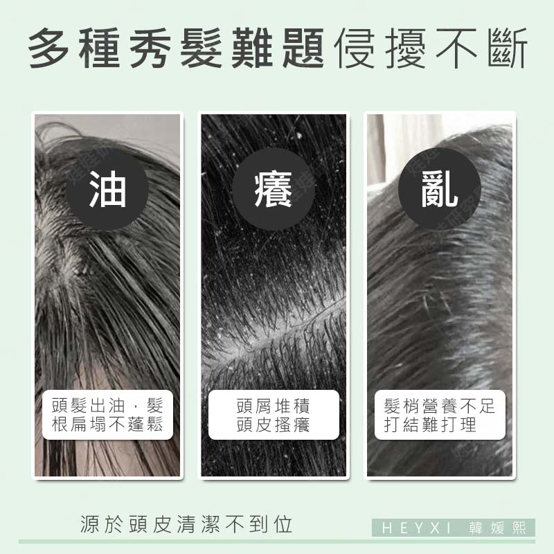 ㊣娃娃研究學苑㊣HEYXI韓媛熙潔淨洗髮膏 洗髮膏 小紅書 頭皮磨砂膏 蓬松 去屑 止癢 清潔 控油 洗髮(PT068)_1