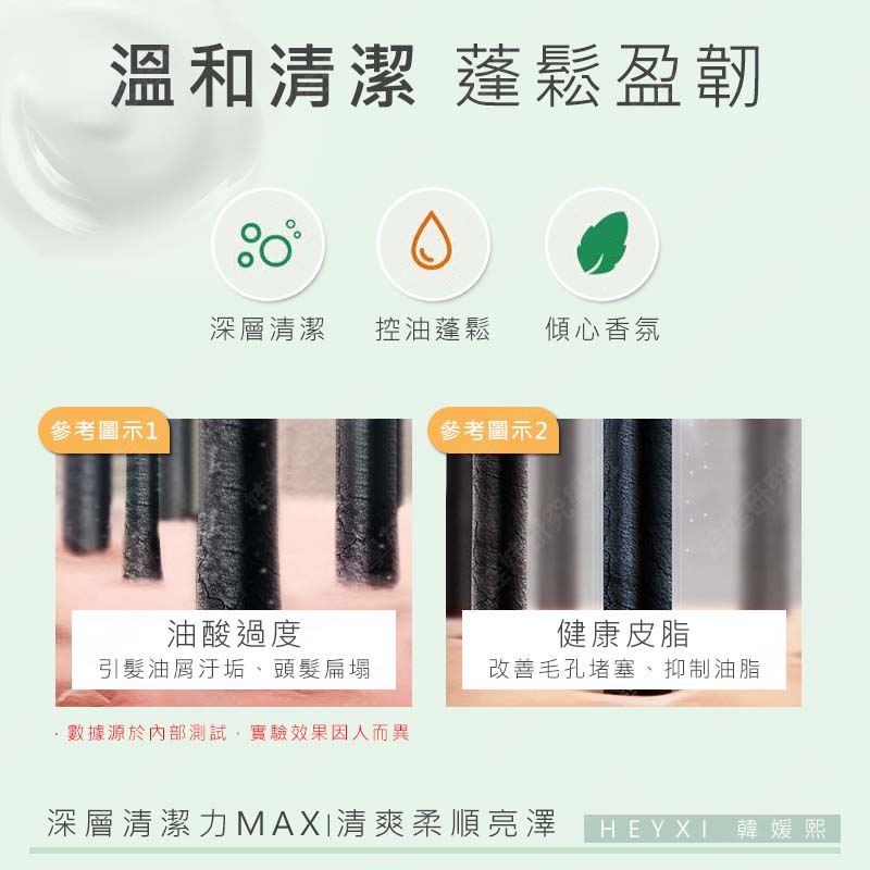 ㊣娃娃研究學苑㊣HEYXI韓媛熙潔淨洗髮膏 洗髮膏 小紅書 頭皮磨砂膏 蓬松 去屑 止癢 清潔 控油 洗髮(PT068)_2
