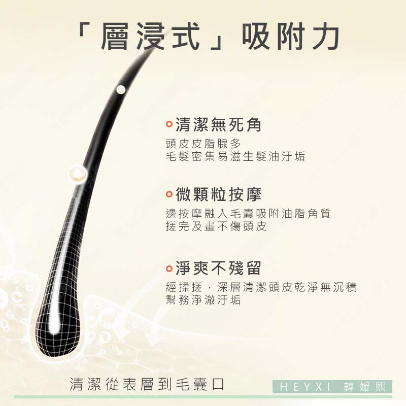 ㊣娃娃研究學苑㊣HEYXI韓媛熙潔淨洗髮膏 洗髮膏 小紅書 頭皮磨砂膏 蓬松 去屑 止癢 清潔 控油 洗髮(PT068)_5