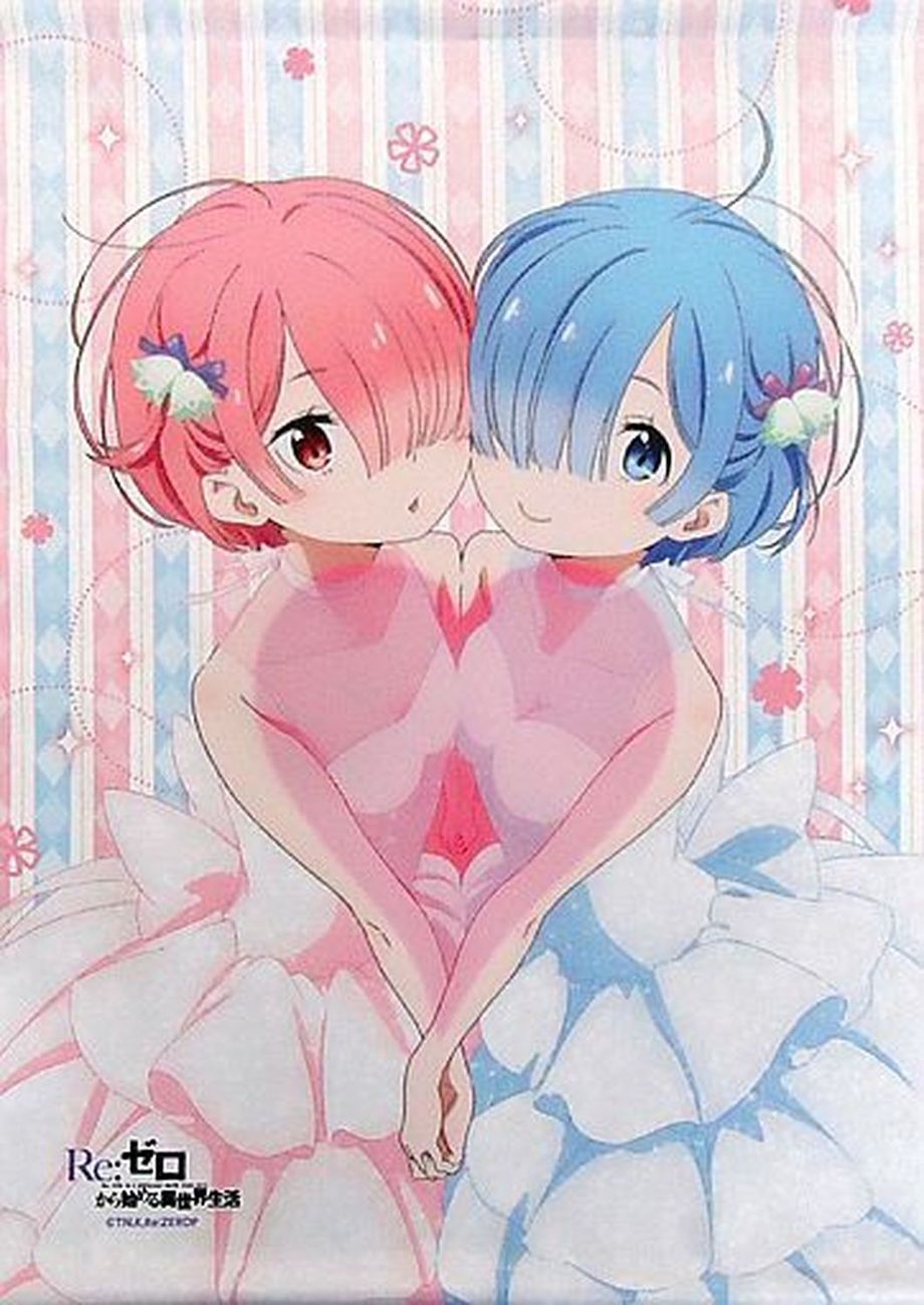 掛畫 拉姆&蕾姆(動畫插圖新插圖ver.) B2 掛畫 「Re:從零開始的異世界生活Re:0開始的拉姆和蕾姆的生日生活2018in涉穀丸井」_0