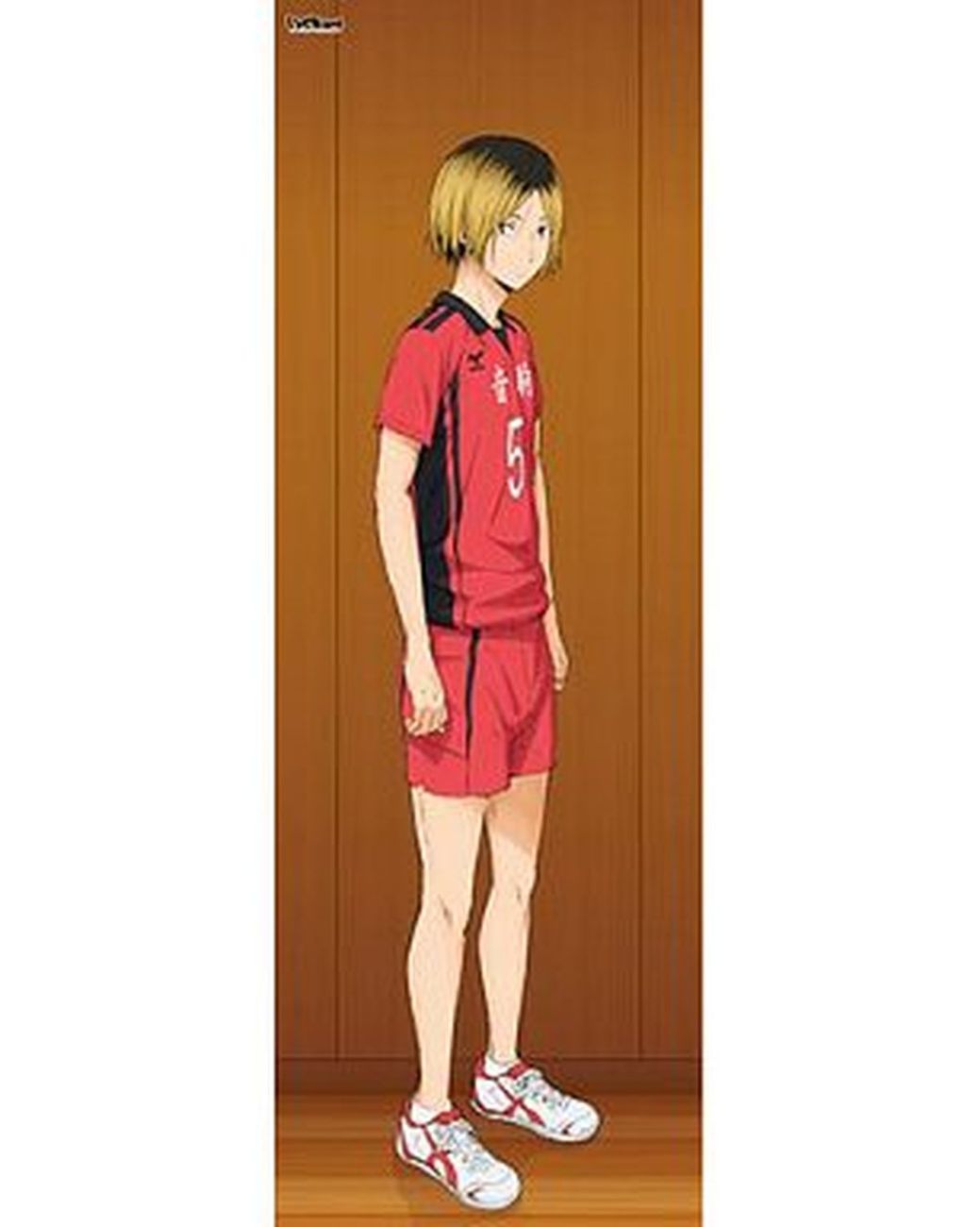 掛畫 (大型) 孤爪研磨等身大 掛畫 「排球少年！」_0